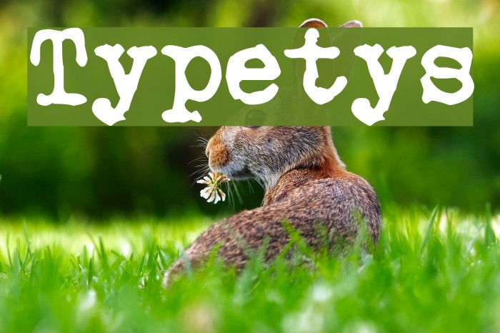 Typetys Font examples