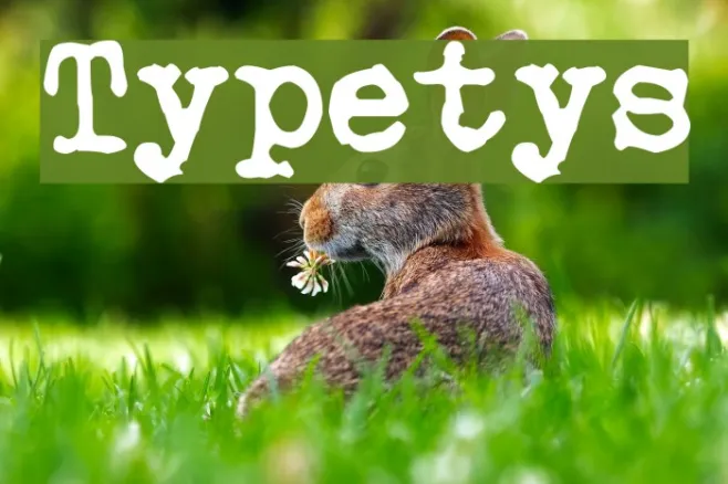 Typetys Example 1