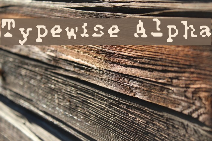 Typewise Alpha Font examples