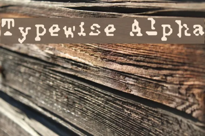 Typewise Alpha Example 3