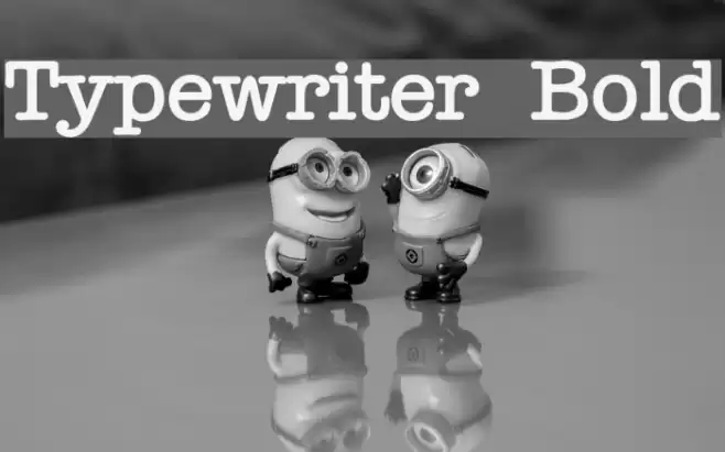 Typewriter Bold Font examples