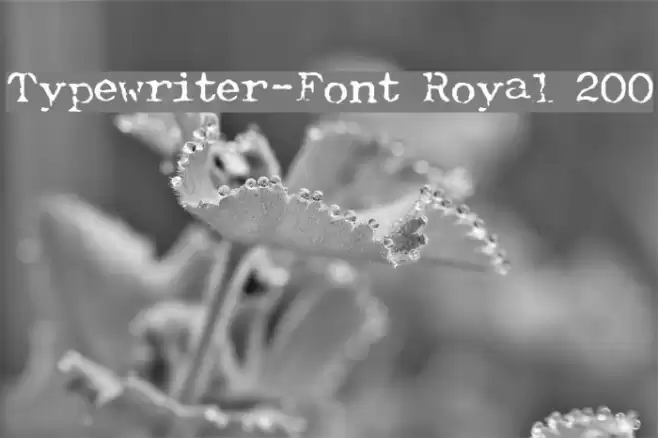 Typewriter-Font [Royal 200] Fuentes examples