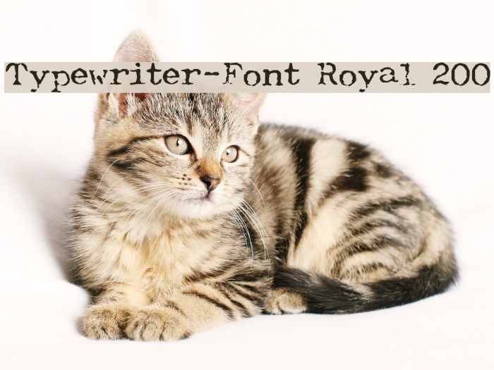 Typewriter-Font [Royal 200] Example 2
