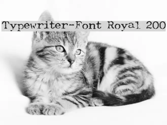 Typewriter-Font [Royal 200] Fuentes examples