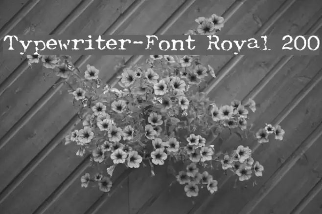 Typewriter-Font [Royal 200] Fuentes examples