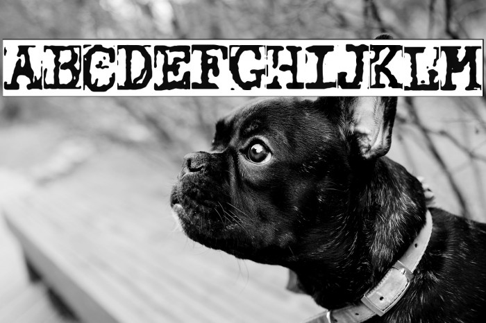 Typewriter Grunge Example 3