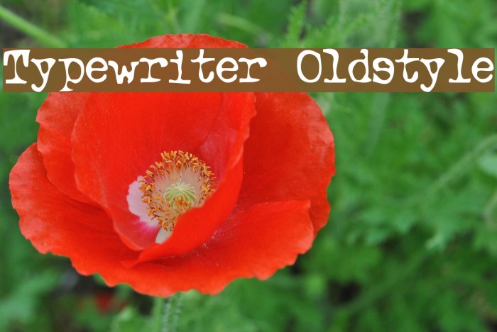 Typewriter Oldstyle Font examples