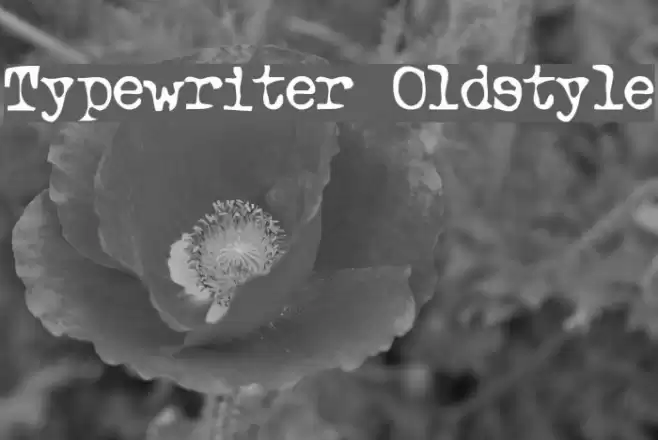 Typewriter Oldstyle خط examples