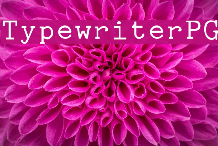 Typewriter PG Example 2