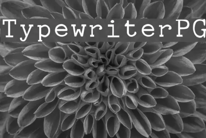 Typewriter PG Font examples