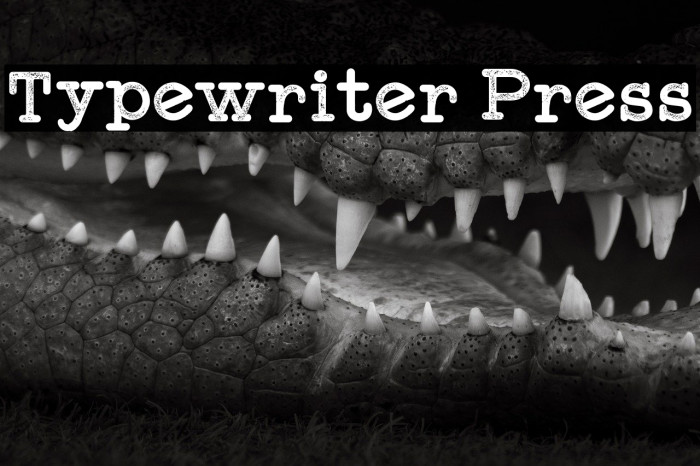 Typewriter Press Example 3