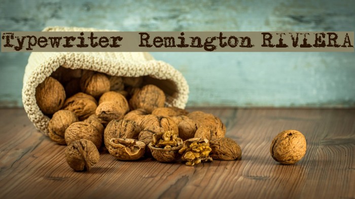 Typewriter - Remington RIVIERA Fuentes examples