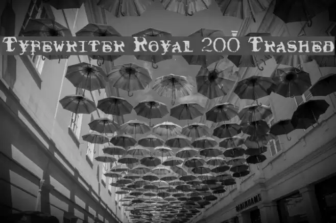 Typewriter Royal 200 Trashed Schriftart examples