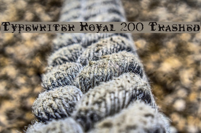 Typewriter Royal 200 Trashed フォント examples