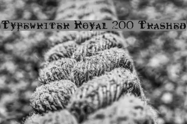 Typewriter Royal 200 Trashed Schriftart examples