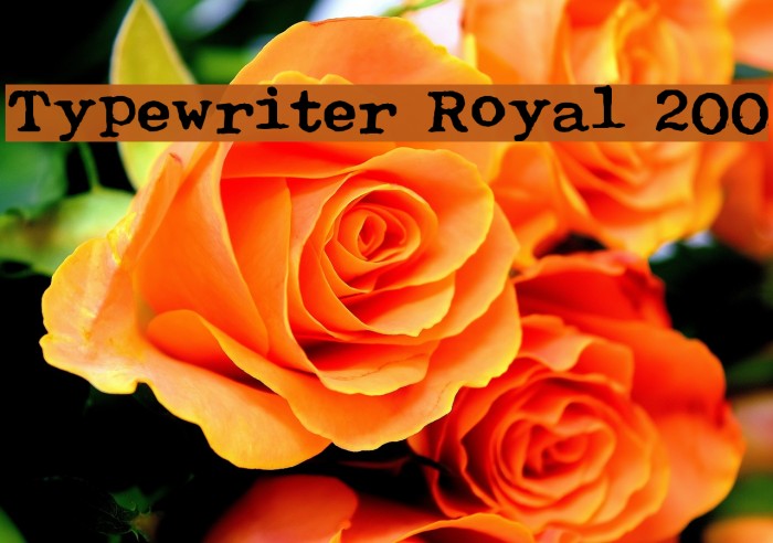 Typewriter Royal 200 Caratteri examples
