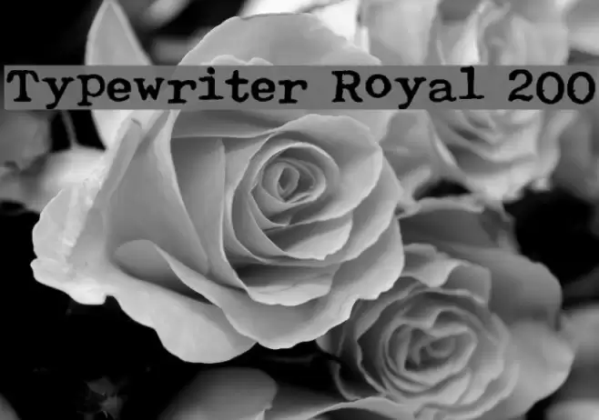 Typewriter Royal 200 Caratteri examples