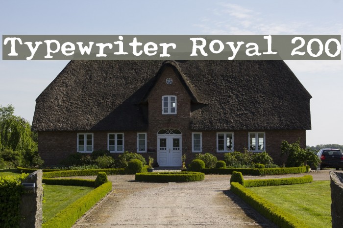 Typewriter Royal 200 Caratteri examples