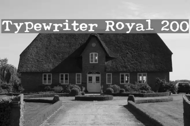 Typewriter Royal 200 Caratteri examples