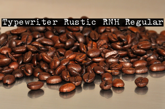 Typewriter Rustic RNH Regular Example 1