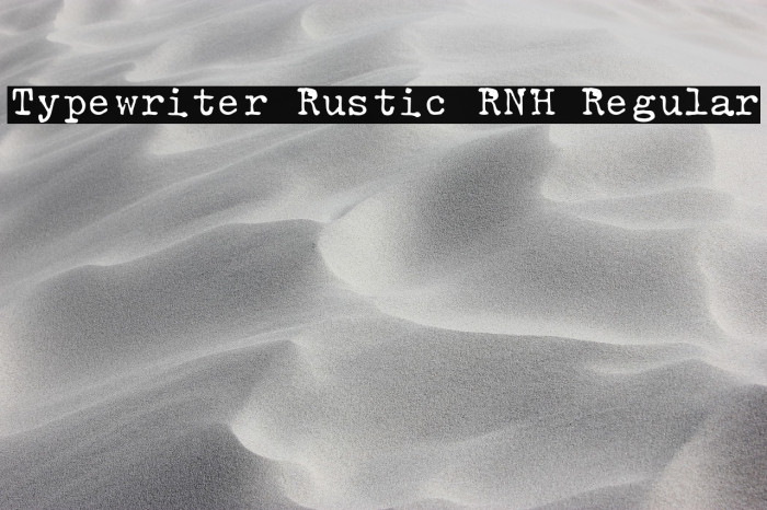 Typewriter Rustic RNH Regular Example 3