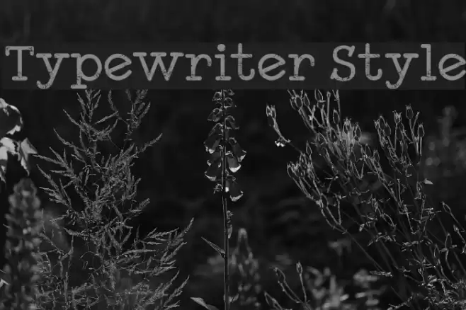 Typewriter Style Font examples