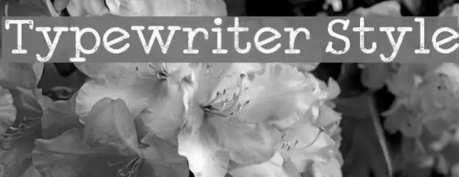 Typewriter Style Font examples