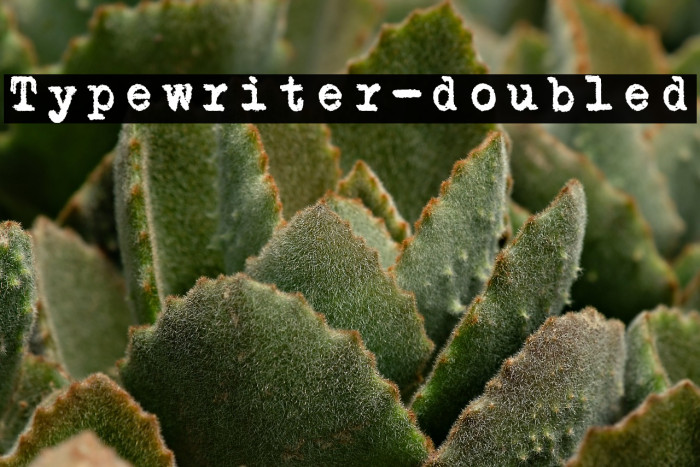 Typewriter-doubled Example 1