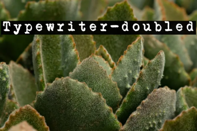 Typewriter-doubled Example 1