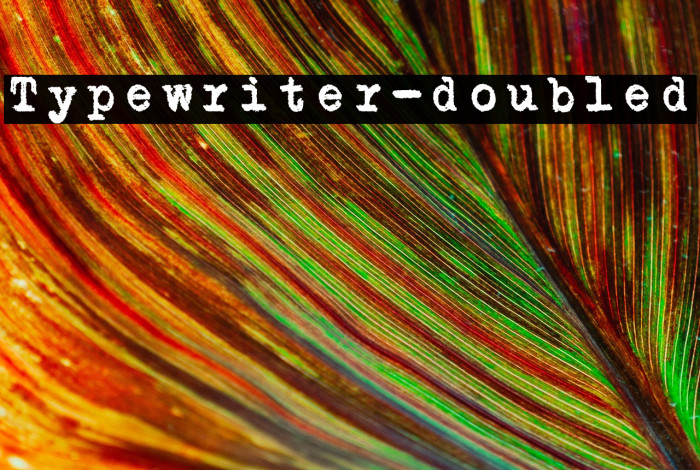 Typewriter-doubled Example 3