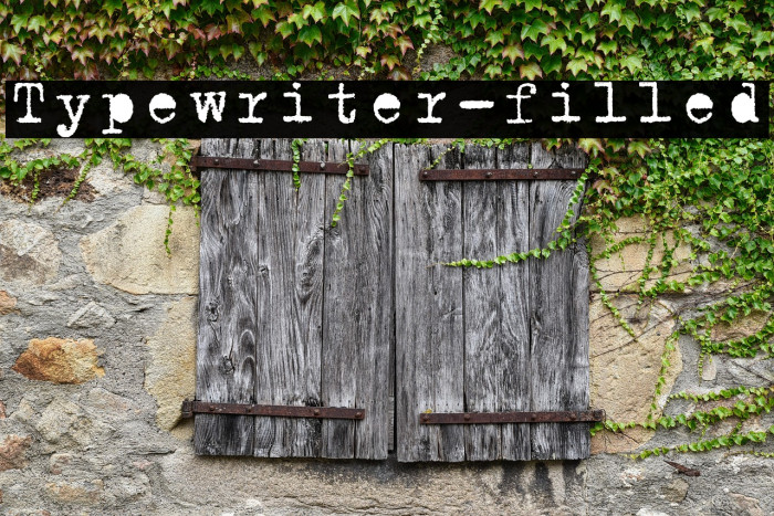 Typewriter-filled Example 2