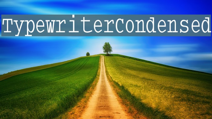 TypewriterCondensed Example 2