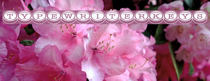TypewriterKeys Font examples