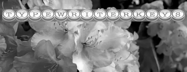 TypewriterKeys フォント examples