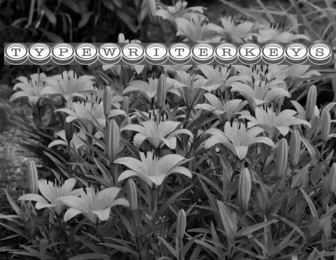 TypewriterKeys フォント examples