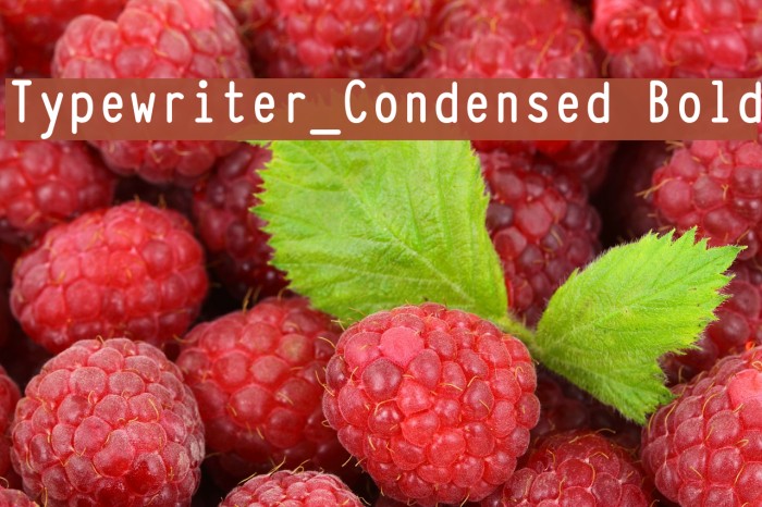 Typewriter_Condensed Bold Fuentes examples