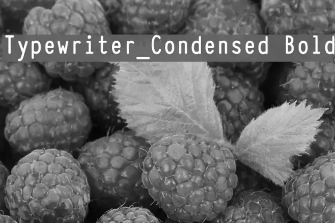 Typewriter_Condensed Bold  examples