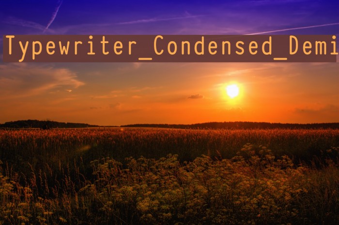 Typewriter_Condensed_Demi Fuentes examples