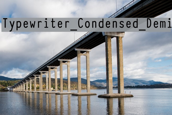 Typewriter_Condensed_Demi Fuentes examples