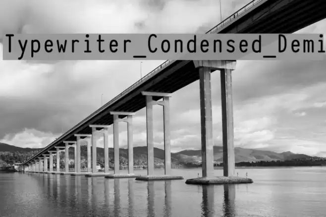 Typewriter_Condensed_Demi Fuentes examples