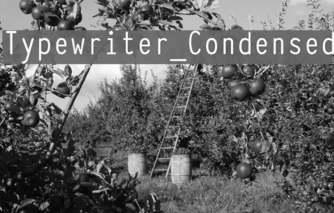 Typewriter_Condensed Fuentes examples