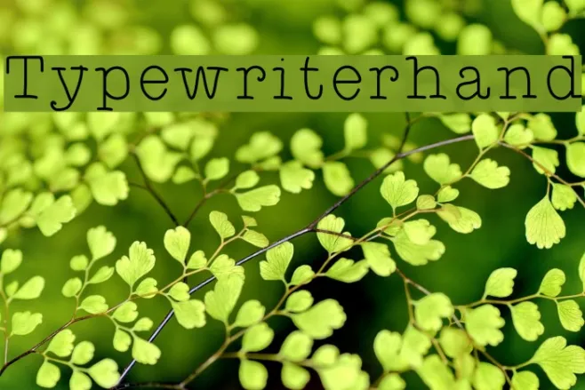 Typewriterhand Example 2