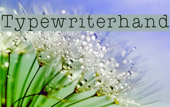 Typewriterhand Font examples