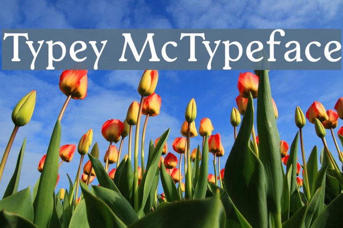 Typey McTypeface Font examples