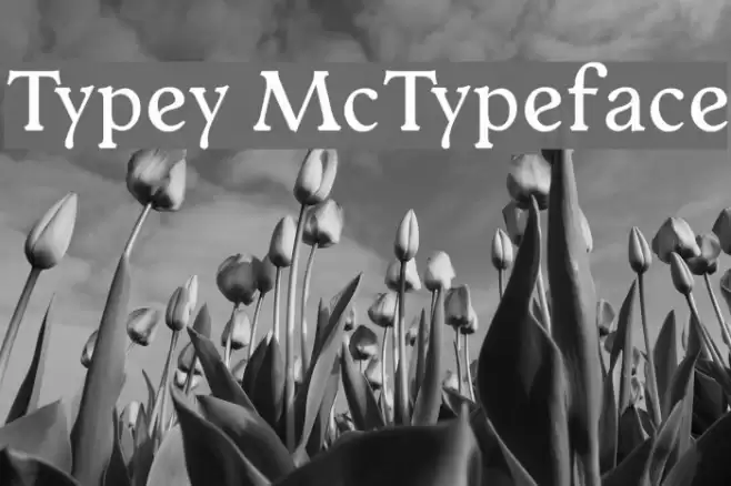 Typey McTypeface Schriftart examples
