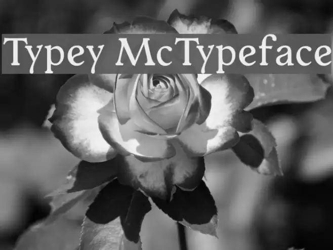 Typey McTypeface Schriftart examples