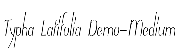 Typha Latifolia Demo-Medium  font caratteri gratis