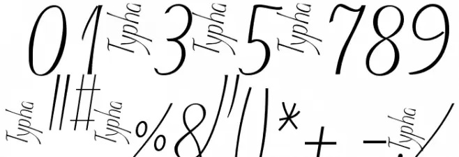 Typha Latifolia Demo-Medium Font OTHER CHARS