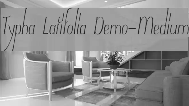 Typha Latifolia Demo-Medium Font examples