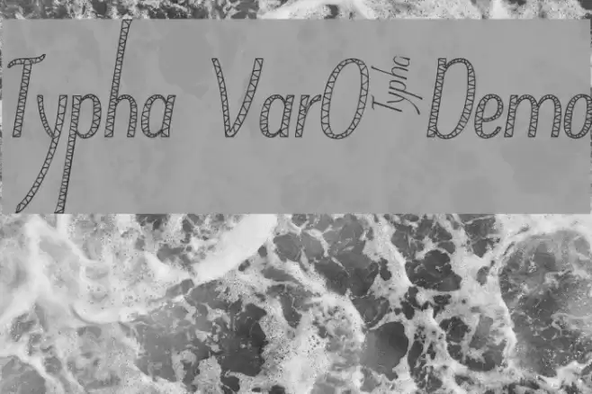 Typha Var05Demo Font examples